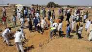 BREAKING: Gunmen run riot, kill 7 in Plateau