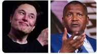 A cikin awanni 8 rak, Elon Musk ya tara abin da Aliko Dangote ya mallaka gaba da baya