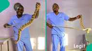 Snake expert Dr Mark Ofua points out things that attract snakes to your house and compound