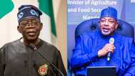 Food security: 5 FG's policies "yielding positive results" as Tinubu, Kyari get commendation