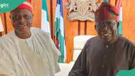 New development as Kwankwaso meets with President Tinubu, photo emerges