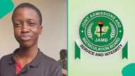 JAMB 2026: Boy who scored 304 in UTME disappointed by his score in English, shares result