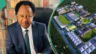 Charterhouse: Shehu Sani discloses ‘problem’ of Lagos primary school charging N42m annually