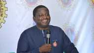 Femi Adesina: FG na samun cigaba a fannin yakar rashin tsaro, jama'a ne ba su gani