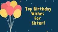 Happy birthday wishes for sister: Surprise your sister with the best birthday wishes