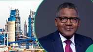 “We are booking for US market”: Dangote Refinery announces date to export diesel