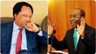 Naira redesign: Shehu Sani tells Emefiele what he will go through when Buhari leaves office