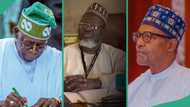 Cabinet reshuffle: Ex-Buhari's minister names 1 Tinubu's minister who can deliver