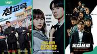 Every new K-drama landing in June 2026, and which streaming platform to find them on