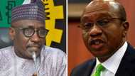 NNPC counters CBN on its role in Naira depreciation as document details its dollar remittance in six months