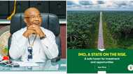 Imo, a state on the rise: Hope Uzodimma’s vision for growth and investment