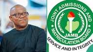 UTME 2025: JAMB fires back at Peter Obi over 6:30am exam timing, “Candidates’ safety is our priority”