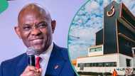 Tony Elumelu, shareholders smile to bank as Transcorp's profits surge to N34 billion