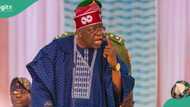 President Tinubu sacks Buhari's appointee, details emerge