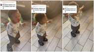 "Groove Guru': Little boy dance moves like adults, steals hearts in viral video