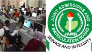 "Software packages": JAMB reveals how candidates are manipulating UTME results, sends important message to Nigerians