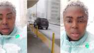 "We will still come": Black woman living in Canada shares video of heavy snowfall, clip stirs reactions