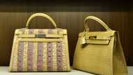 Hermes bags sales growth except in Asia