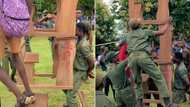 "Na juju be that?" Reactions as man in uniform carries 3 wooden tables with his teeth, video stuns people