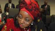 Diezani stole too much from Nigeria, she must be extradited to Nigeria now - Magu begs UK