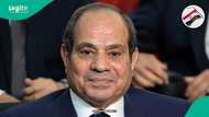 Egypt bans foreigners from bringing these 8 items into or out of the country