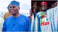 Tribunal: Atiku’s witness alleges APC, Tinubu agents truncated upload of election results to INEC server