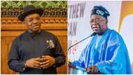 2023 elections: Clap back time as Akwa Ibom governor replies Tinubu over "boy" remark