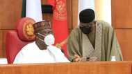 List of 5 INEC commissioners confirmed by Senate emerges as Onochie is rejected