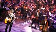 Les groupes de rock francais emblématiques des années 80 : sortez les guitares