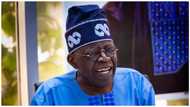 2023: Tinubu meets APC delegates in Adamawa, Taraba, preaches religious tolerance