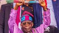 May 29: APC youth wing announces organising committee for Tinubu's swear-in