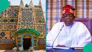 Tinubu ya yi magana kan ranar Hausa ta 2026 ya fadi matsayin Hausawa