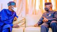 2023 presidency: Tinubu working for Osinbajo's eventual victory? VP's ally gives stunning revelation