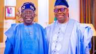 Tinubu Ya Lallaba a Asirce, Ya Roki Sanatoci - Sanata Ya Fadi Yadda Akpabio Ya Ci Zabe