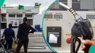 Diesel prices crash as NNPC adjusts petrol pumps below Dangote's rate