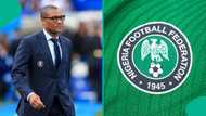Ex-Chelsea director tipped to replace Ibrahim Gusau as NFF president after mass resignations