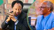 Shehu Sani reacts to El-Rufai’s probe: “He looted Kaduna for 8 years, used religion to divide state”