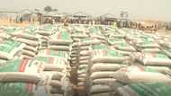 Saudi government donates food items to IDPs in Borno (photos)