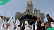 2024 Hajj: Tragedy as Nigerian female pilgrim kills self in Madina, Saudi authorities react