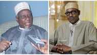 Why I didn't support Buhari's presidency, Yakasai finally opens up