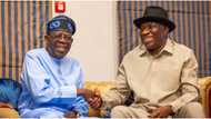 Bayelsa slot: Jonathan finally speaks on move to influence Tinubu's ministerial nominees