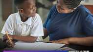 Stanbic IBTC offers educational solutions to parents, schools