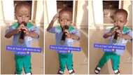 Kid faces class, passionately lists parts of body during presentation with funny language, Nigerians react