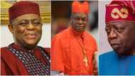 APC chieftain Fani-Kayode reveals identity of those against Tinubu's swearing-in