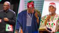 2027 presidency: How Atiku, Peter Obi, others plan to displace Tinubu, political analyst explains