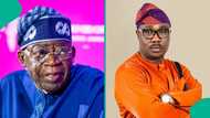 Breaking: Winner announced in APC presidential primary election in Kano as Osifo battles Tinubu