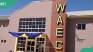 BREAKING: WAEC Nigeria announces new boss as Patrick Areghan bows out