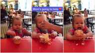 "Sugar rush": Woman shares video of baby eating sweet cupcake on her 1st birthday, kid shows excitement