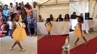 "She understood the assignment": Little girl catwalks on runway like a pro, people stare in sweet video