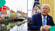 Denmark citizens petition to buy one one state in US from President Trump, gives reason